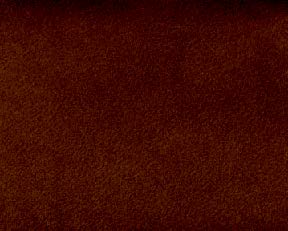 tremiti-26.jpg